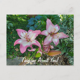 Postal Pensando En Ti Bonitos Lilies Rosados