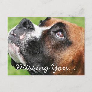 Postal Pensando en ti Boxer - Vindy