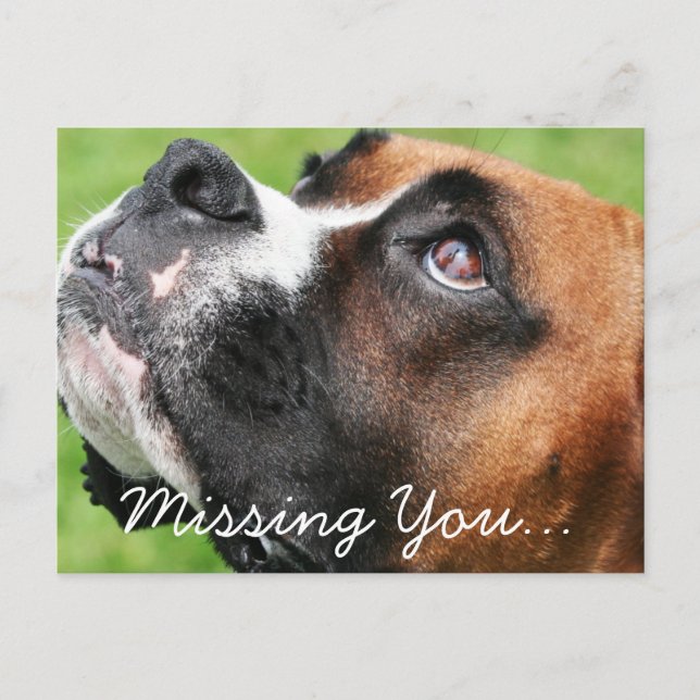 Postal Pensando en ti Boxer - Vindy (Anverso)