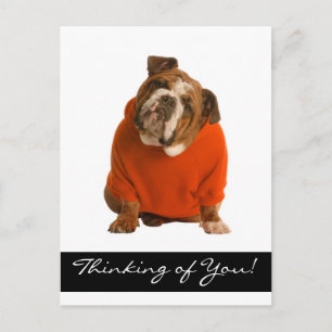 Postal Pensando en ti, Bulldog Cachorro de Perro saludo P