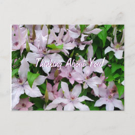 Postal Pensando En Ti Clematis Flores Púrpura