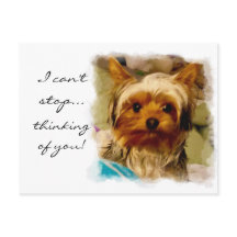 Pensando en ti con amor Yorkie