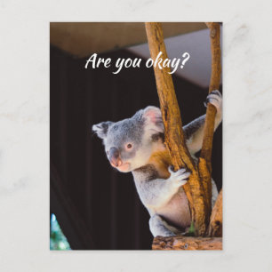 Postal Pensando en ti Divertido Koala Hazme saber que est