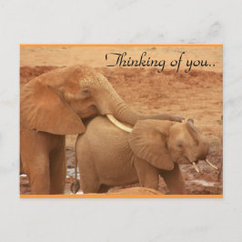 Postal Pensando en ti Elefantes Africanos