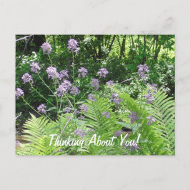 Postal Pensando En Ti Flores Púrpura Sólo Diciendo Hola