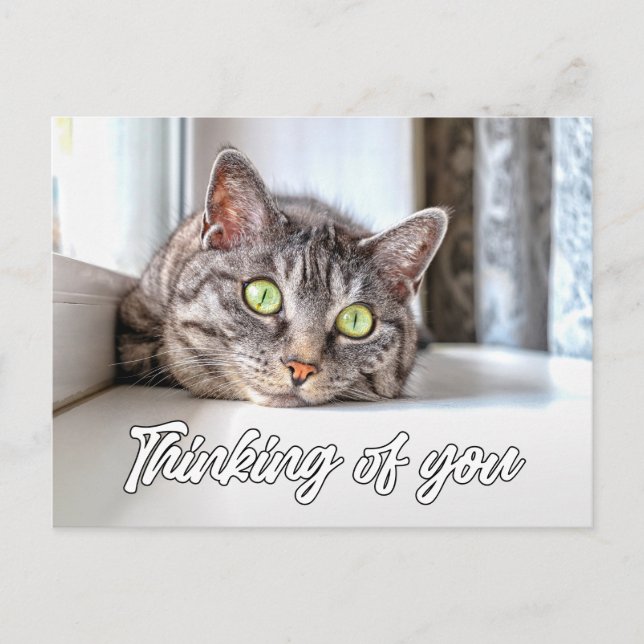 Postal Pensando en Ti - Gatito Adorable (Anverso)