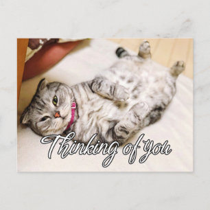Postal Pensando en Ti - Gatito Adorable