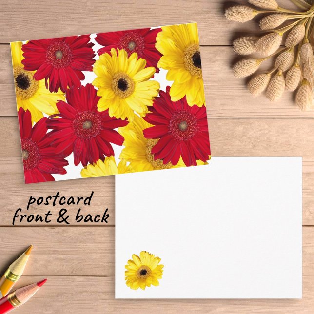 Postal Pensando en ti Gerber Daisies rojas y amarillas (gerbera daisy postcard insitu)