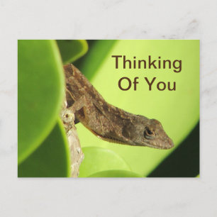 Postal Pensando En Ti Hojas Reptil Gecko Amistad