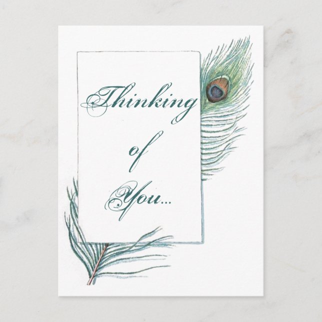 Postal Pensando en ti, la pluma del pavo real Inspiradora (Anverso)