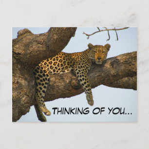 Postal Pensando en ti (Leopard in a Tree)