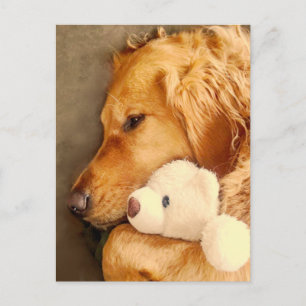Postal Pensando en ti lindo perro triste Retriever Dorado