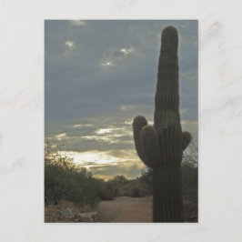 Postal Pensando en ti Saguaro Cactus Foto Paz