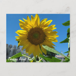 Postal Pensando En Tu Fotografía De Girasol