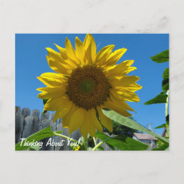Postal Pensando En Tu Fotografía De Girasol