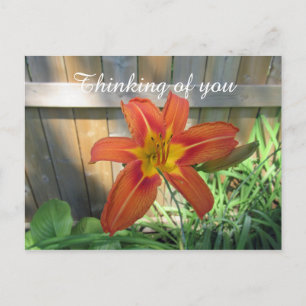 Postal Pensando en tu Naranja Lily Floral Photography