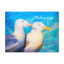 Pensando en ustedes dos gaviotas cielo azul