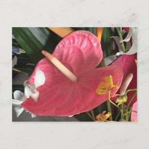 Postal Pensar en rosa