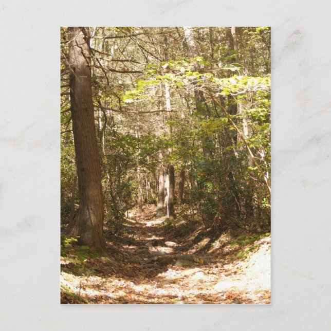 Postal pensilvania appalachian (Anverso)