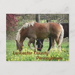 Postal Pensilvania del condado de Lancaster - Postcard