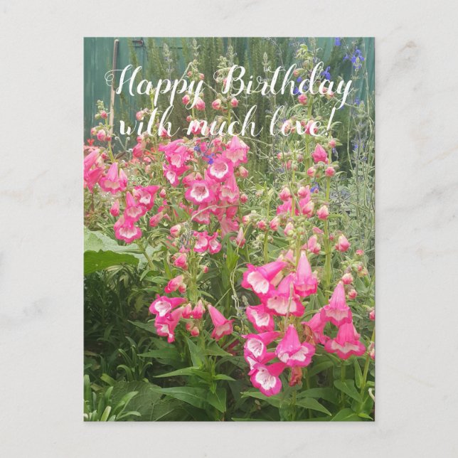 Postal Penstemon Flower Garden floral Feliz cumpleaños (Anverso)