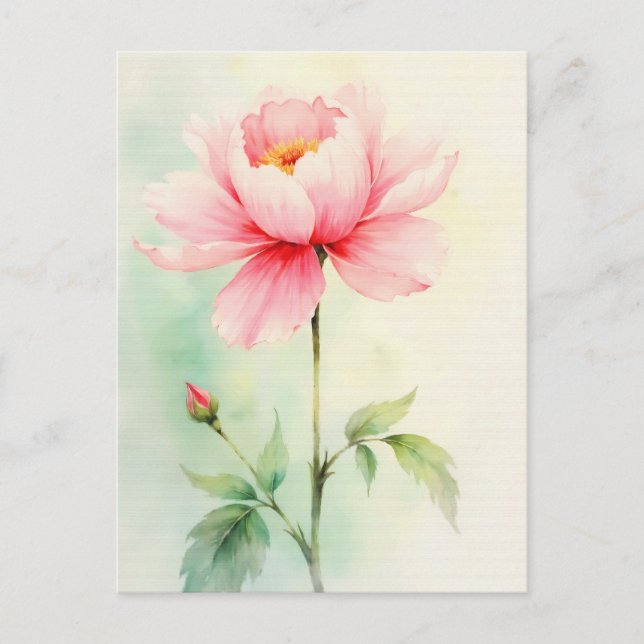 Postal Peonía Rosa (Anverso)