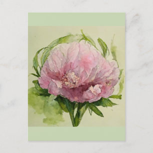 Postal Peonía rosa delicada
