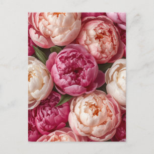 Postal Peonías rosadas