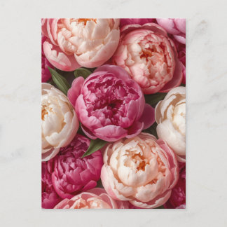Postal Peonías rosadas