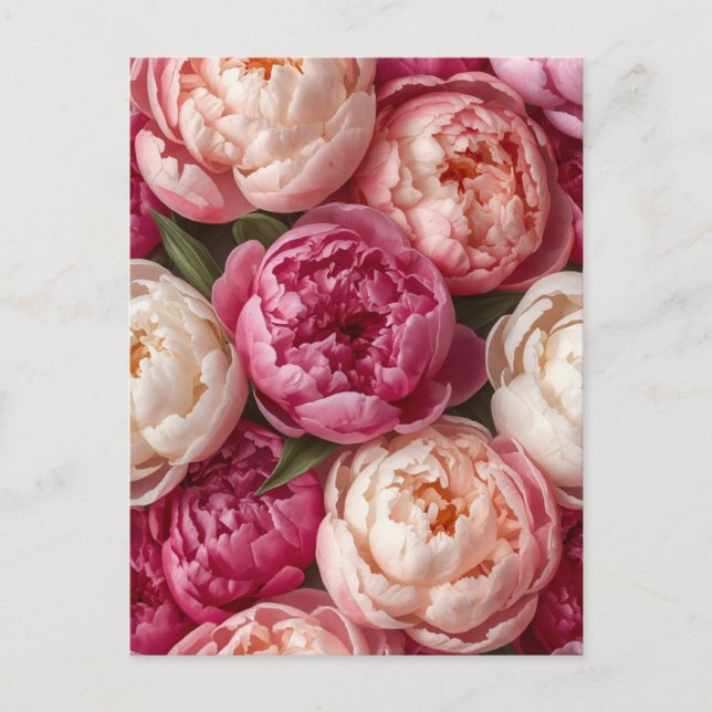 Postal Peonías rosadas (Anverso)
