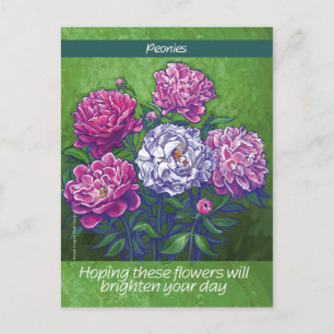 Postal Peonies