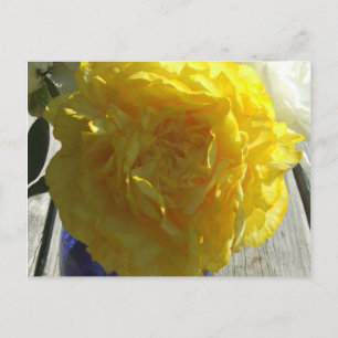 Postal Peonies amarillos