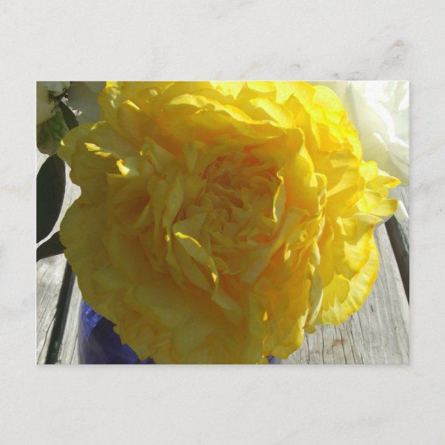 Postal Peonies amarillos (Anverso)