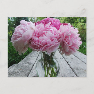 Postal Peonies rosados/Arreglo de flores peónicas en gran