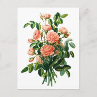 Peony Bokeh rosado botánico