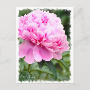 Postal Peony Chino ポ ス カ ド