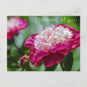 Postal Peony Flower Pensando en ti