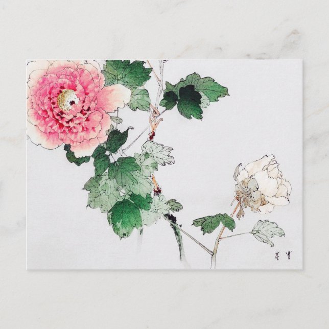 Postal Peony Flower, Watanabe Seitei (Anverso)