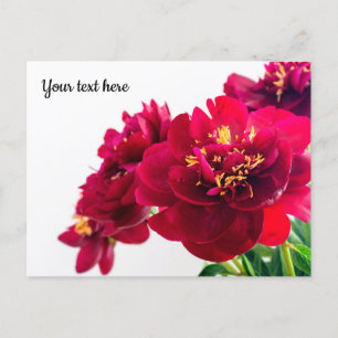 Postal Peony Rojo