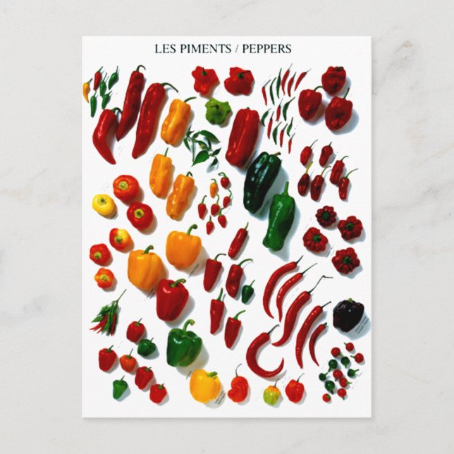 Postal Peppers (Anverso)
