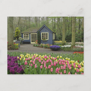 Postal Pequeña cabaña de tienda de flores, Jardines Keuke