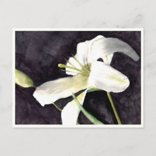 Postal pequeña de 4,25" x 5,6"