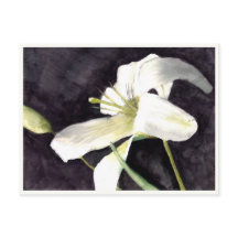 Postal pequeña de 4,25" x 5,6"