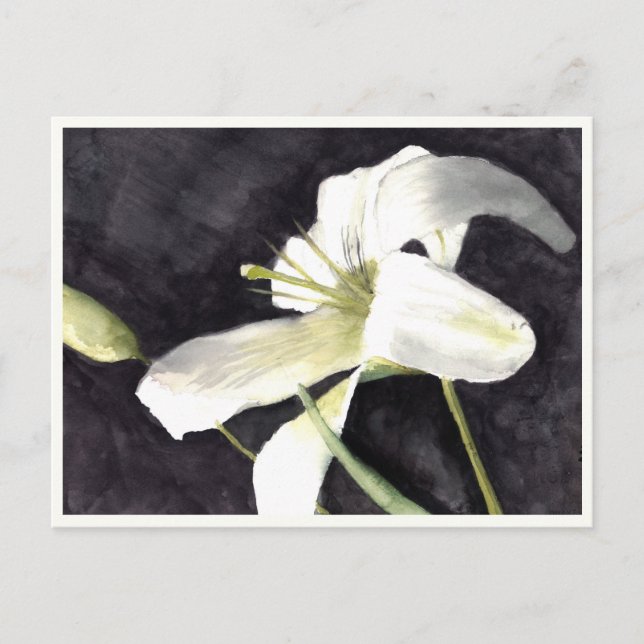 Postal pequeña de 4,25" x 5,6" (Anverso)