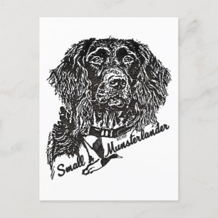 Postal Pequeña Munsterlander (logotipo)