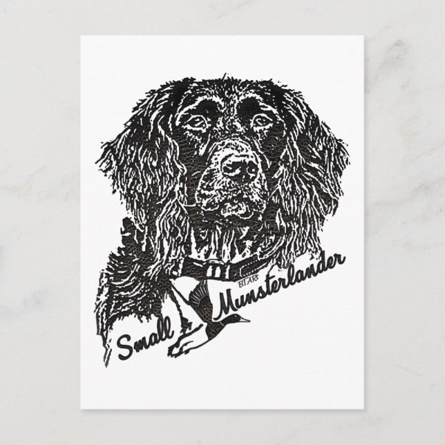 Postal Pequeña Munsterlander (logotipo) (Anverso)