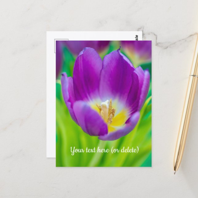 Postal Pequeña Tulipán Púrpura (Anverso/Reverso In Situ)