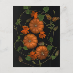 Postal pequeñas calabazas