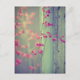 Postal Pequeñas campanitas