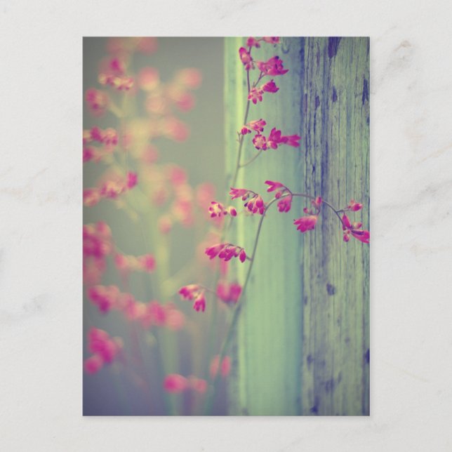 Postal Pequeñas campanitas (Anverso)